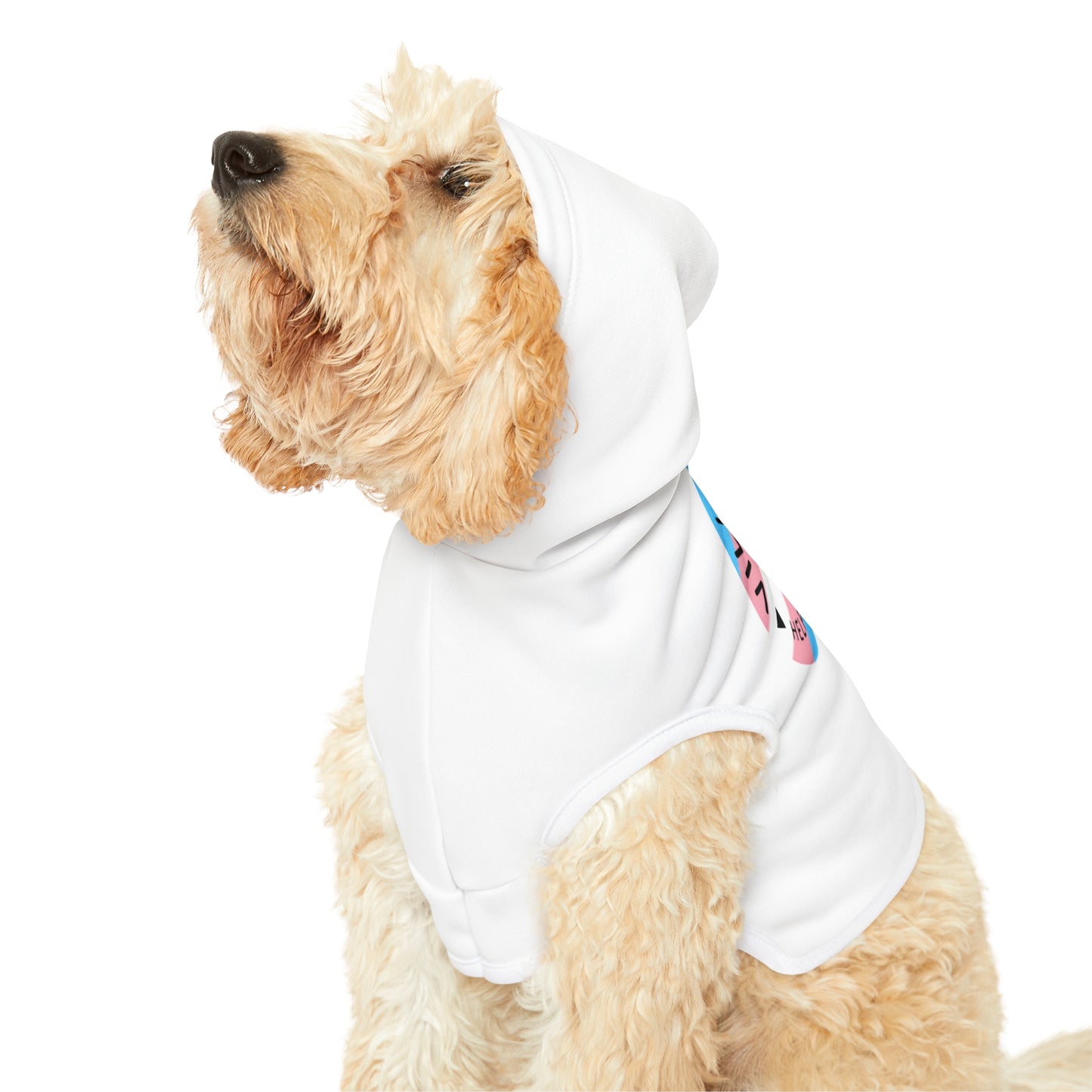 Villaj Life, Villaj Trans Pride, Dog Hoodie